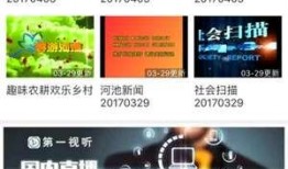 河池市网友爆料新闻视频,惊现新闻视频，揭秘事件真相！