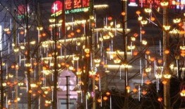 走马观花爆料视频大全,爆料视频大全精彩瞬间大盘点